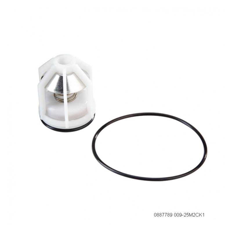 WATTS 25mm M2 009 RPZ Spare Parts