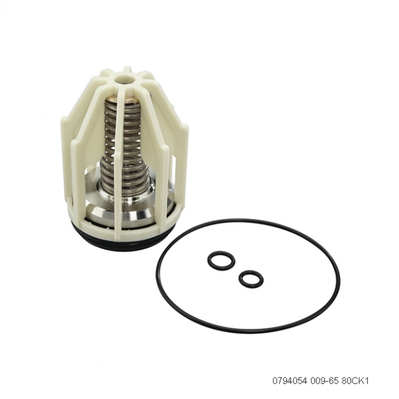 WATTS 65/80mm 009 RPZ Spare Parts