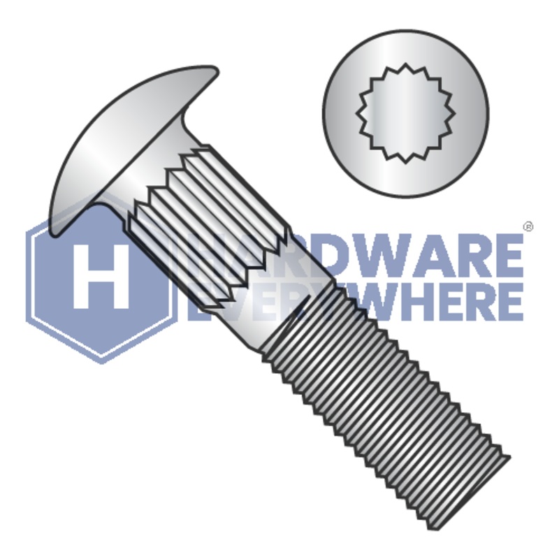 1/4-20 x 1 CARRIAGE BOLTS / 18-8 Stainless Steel / Plain FUL163378759911